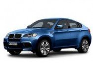 Автомобильные коврики BMW X6 I (E71) (2007 - 2014)