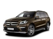 Автомобильные коврики Mercedes-Benz GL-Class II (X166) (2012 - 2015)