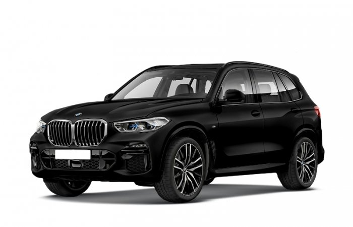 Автомобильные коврики BMW X5 IV (G05) (2018 - ...)