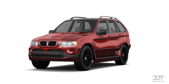 Автомобильные коврики BMW X5 I (E53) (1999 - 2006)