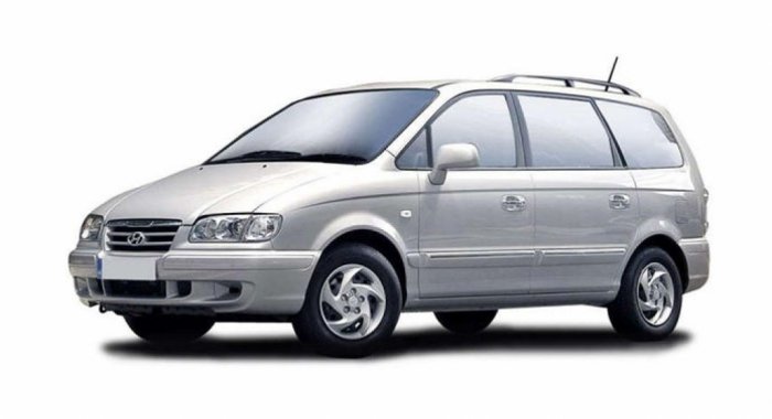 Автомобильные коврики Hyundai Trajet I (FO) (1999 - 2008)