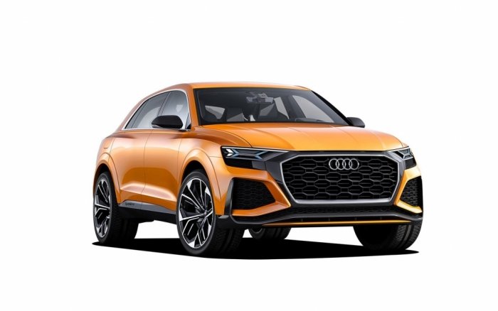 Автомобильные коврики Audi Q8 (2019 - ...)